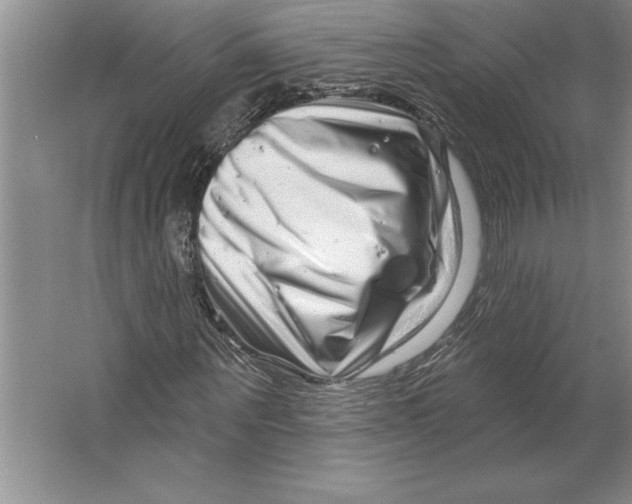 X0000064720867200603031613