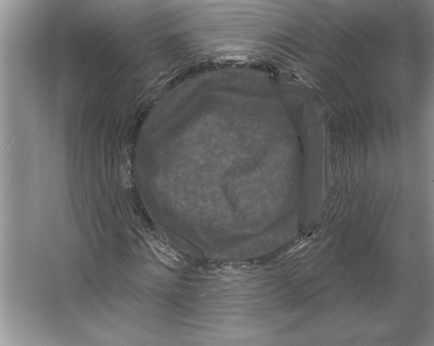 X0000064720868200603031613