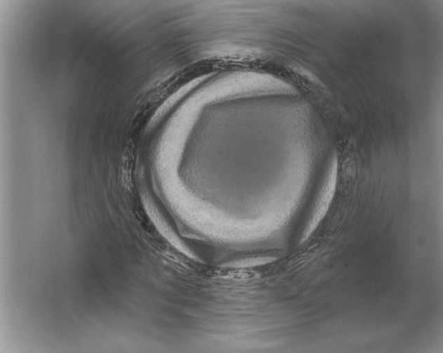 X0000064720869200603031613