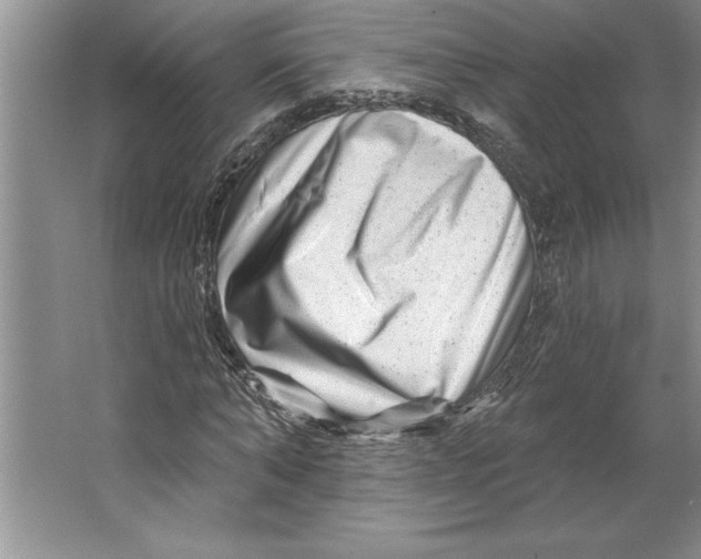 X0000064720870200603031613