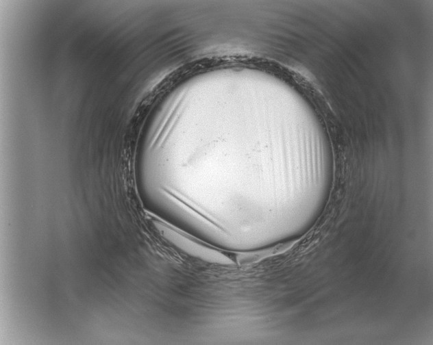 X0000064720871200603031613