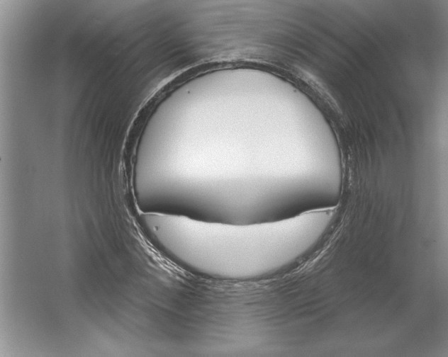 X0000064720876200603031613