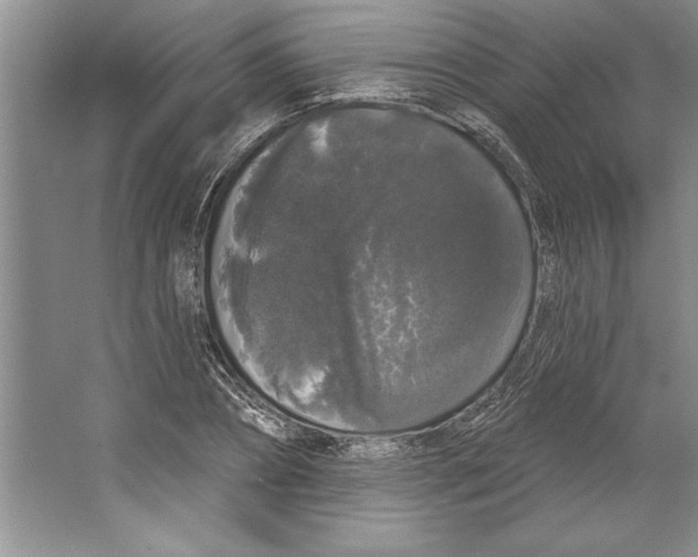 X0000064720882200603031613