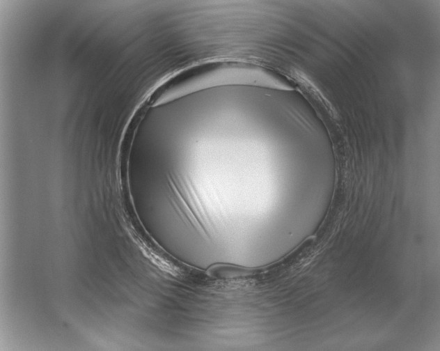 X0000064720884200603031613