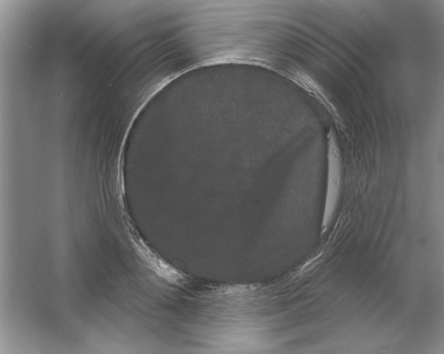 X0000064720892200603031613