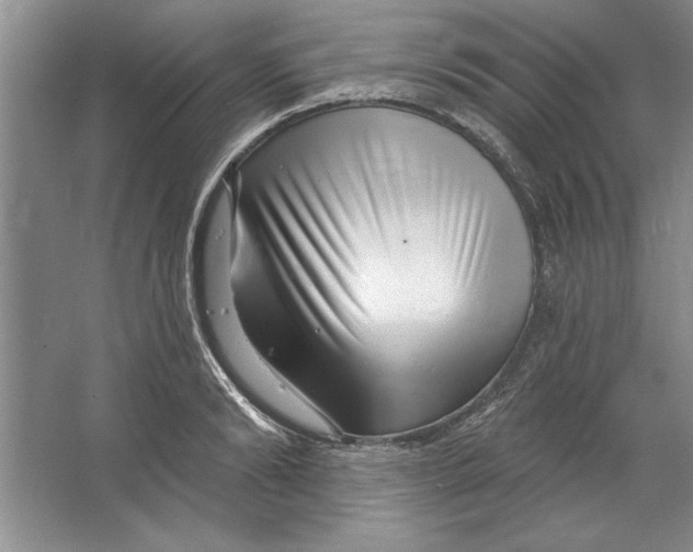 X0000064720894200603031613