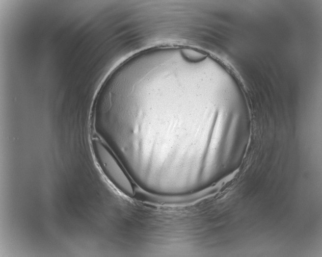 X0000064720903200603031612