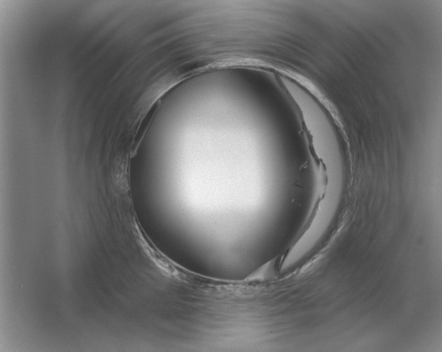 X0000064720905200603031612
