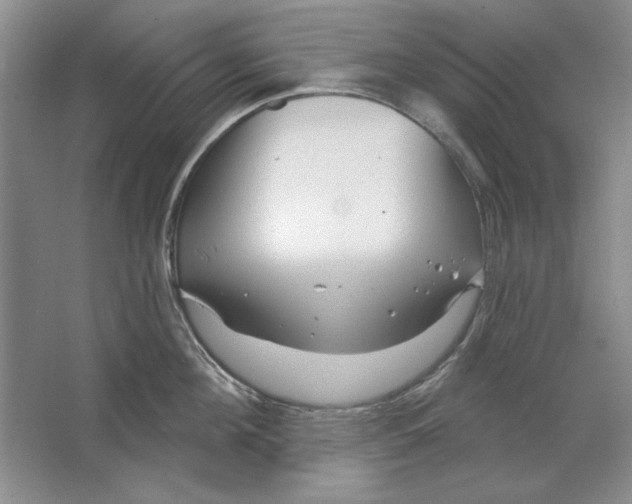 X0000064720908200603031612