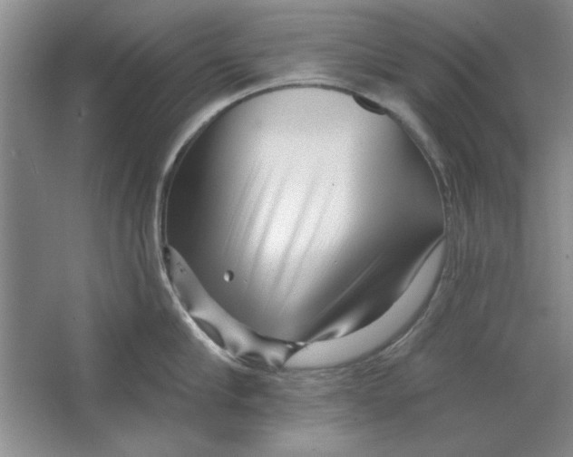 X0000064720910200603031612