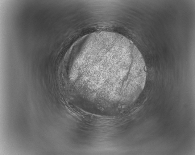 X0000064720913200603031611