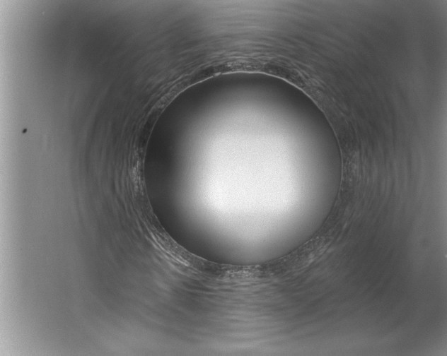 X0000064720914200603031611