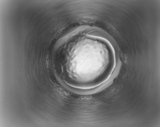 X0000064720915200603031611