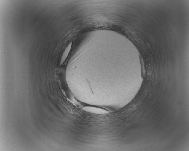 X0000064720916200603031611