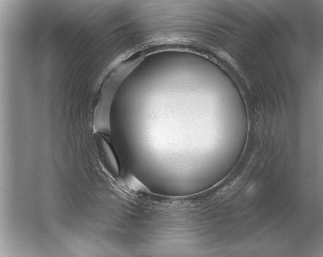 X0000064720922200603031612