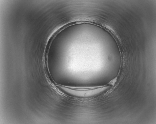 X0000064720928200603031612