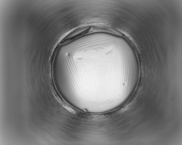 X0000064720933200603031612