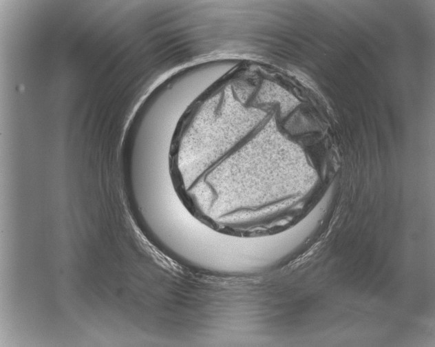 X0000064720934200603031612