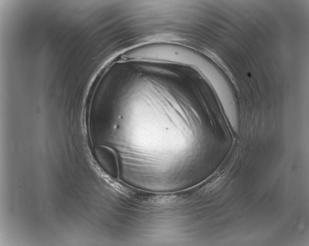 X0000064720939200603031612