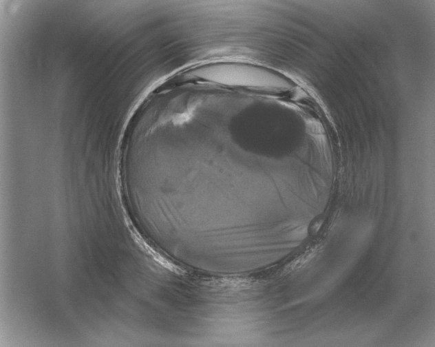 X0000064720941200603031612