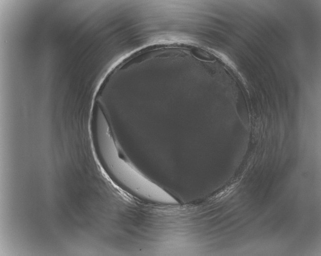 X0000064720943200603031612