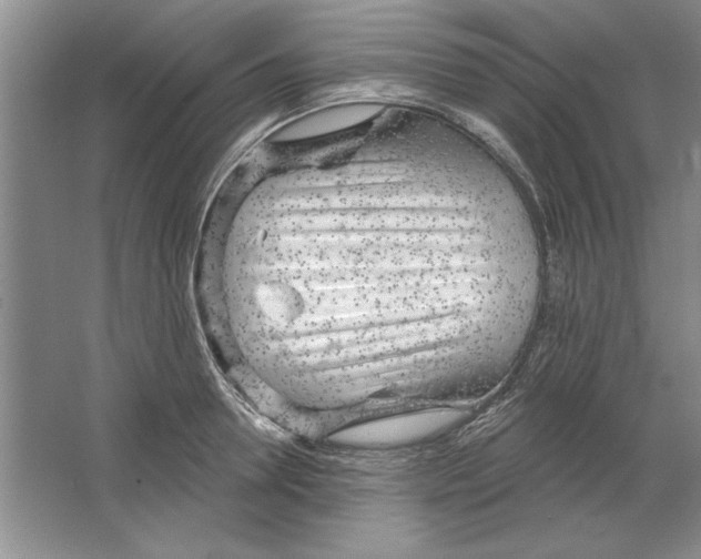 X0000064720946200603031612