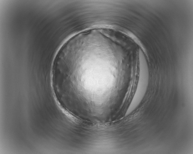 X0000064720955200603031612