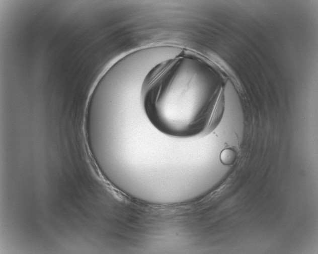X0000064720956200603031612