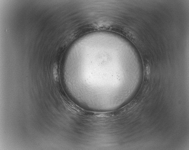 X0000064720963200603031611