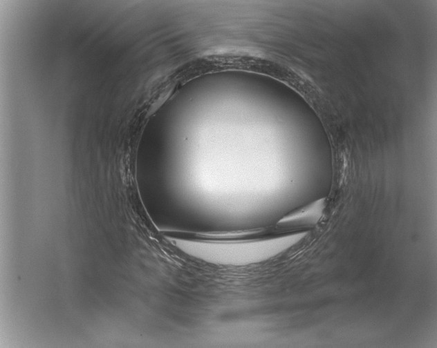 X0000064720965200603031611