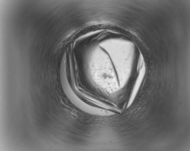 X0000064720967200603031611