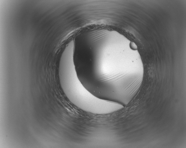 X0000064720968200603031611