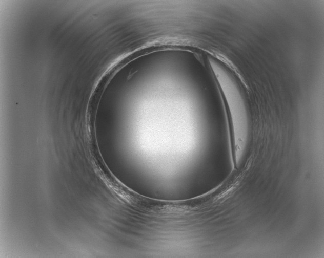 X0000064720981200603031611