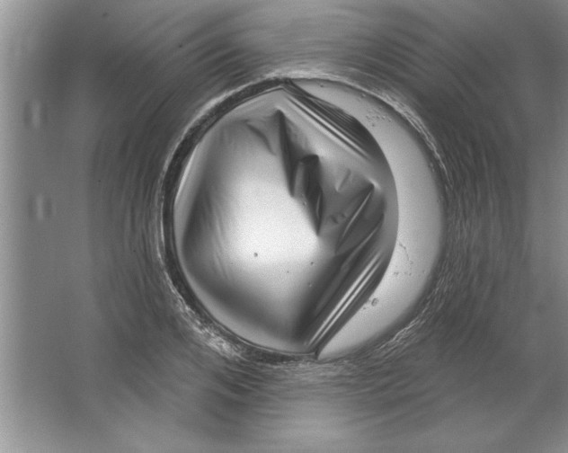 X0000064720984200603031611