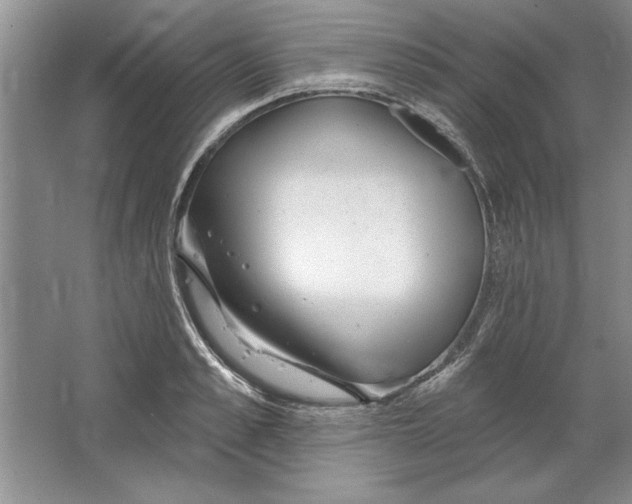 X0000064720989200603031611