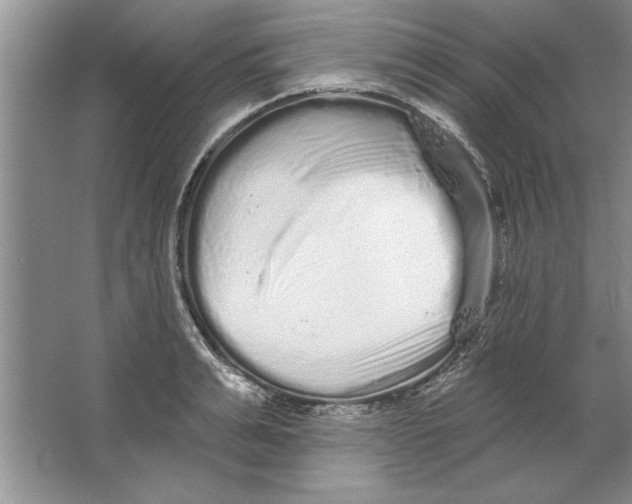 X0000064720991200603031611