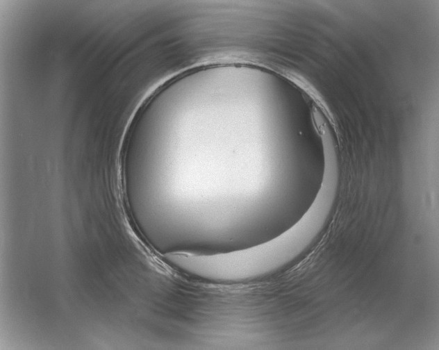 X0000064720996200603031611