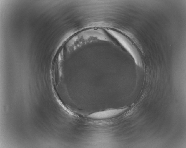 X0000064720998200603031611