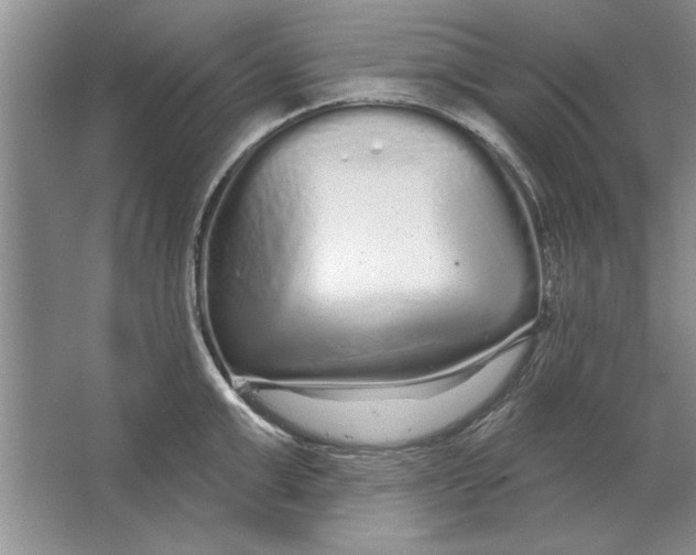 X0000064720999200603031611