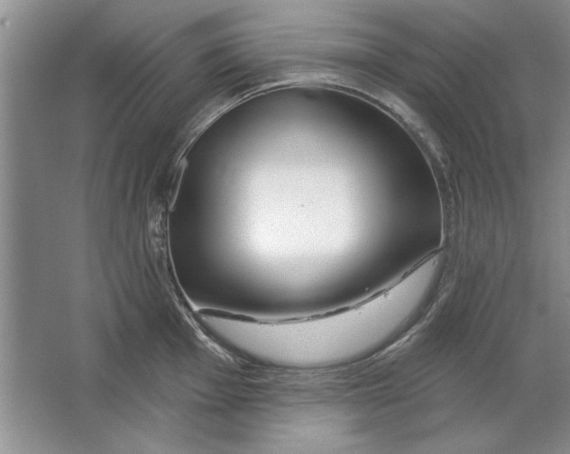 X0000064721001200603031611