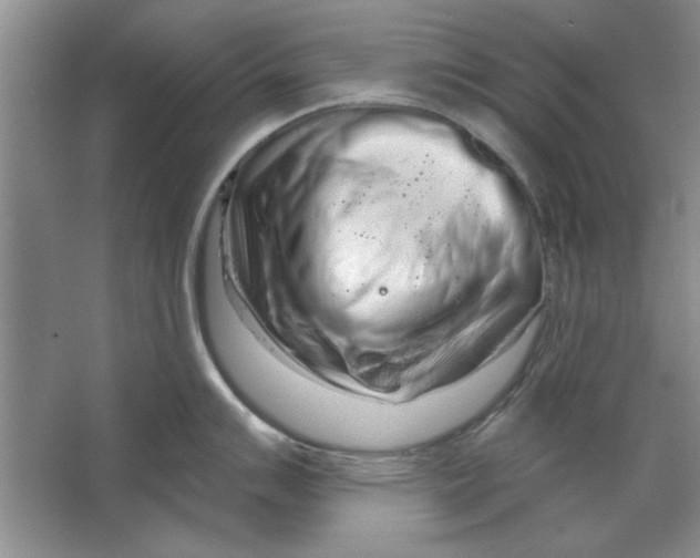 X0000064721007200603031611