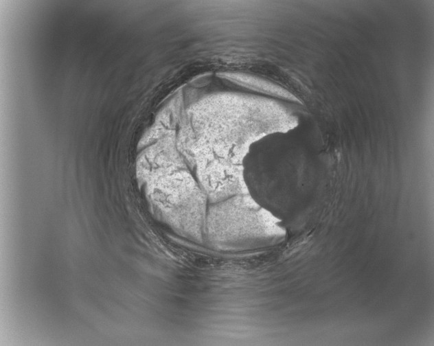 X0000064721009200603031610