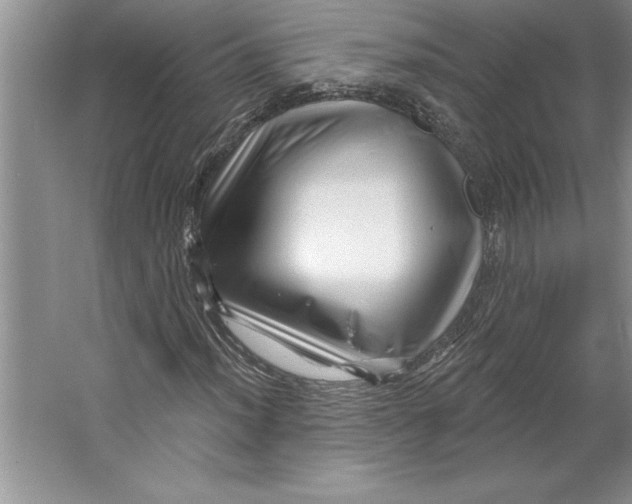 X0000064721012200603031610