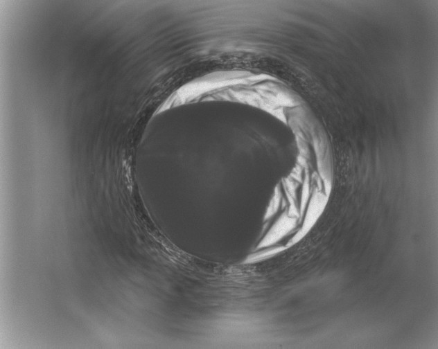 X0000064721013200603031610