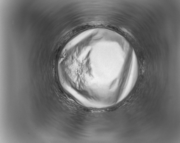 X0000064721015200603031610