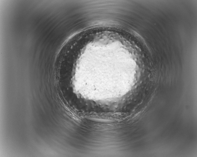 X0000064721019200603031610