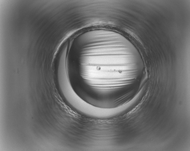X0000064721021200603031610