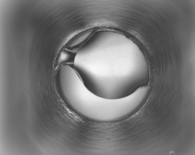 X0000064721022200603031610