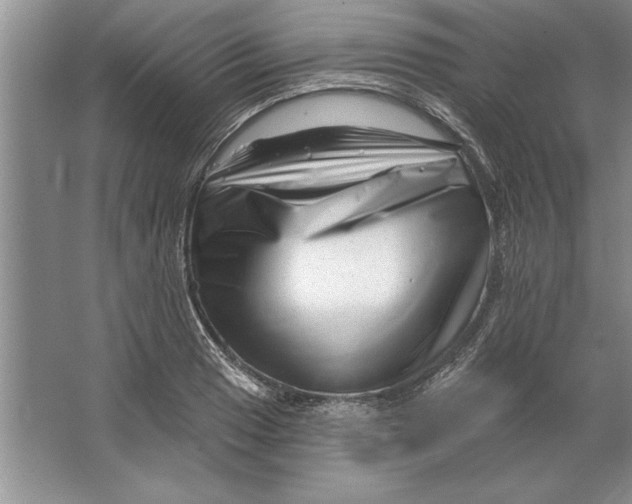 X0000064721033200603031610