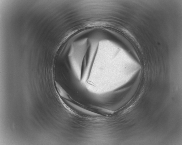 X0000064721041200603031610